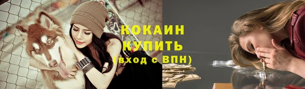 крисы Осташков