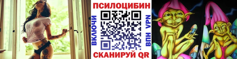 kraken зеркало  где купить наркотик  Фатеж  Галлюциногенные грибы Cubensis 